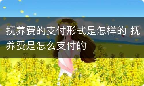 抚养费的支付形式是怎样的 抚养费是怎么支付的