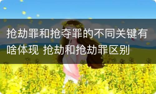 抢劫罪和抢夺罪的不同关键有啥体现 抢劫和抢劫罪区别