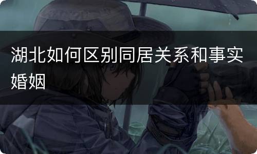湖北如何区别同居关系和事实婚姻