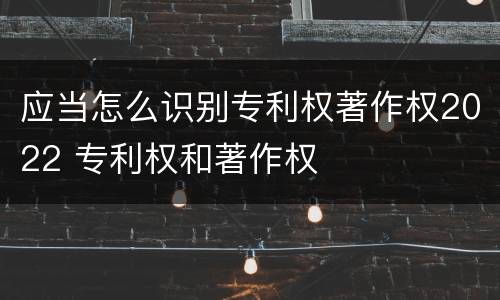 应当怎么识别专利权著作权2022 专利权和著作权