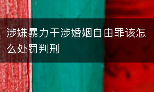 涉嫌暴力干涉婚姻自由罪该怎么处罚判刑