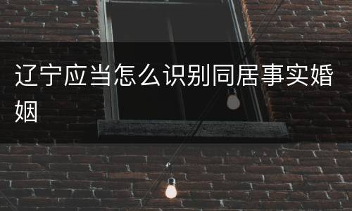 辽宁应当怎么识别同居事实婚姻