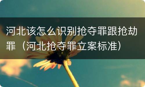 河北该怎么识别抢夺罪跟抢劫罪（河北抢夺罪立案标准）