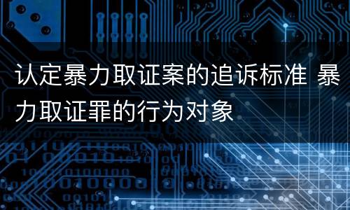 认定暴力取证案的追诉标准 暴力取证罪的行为对象