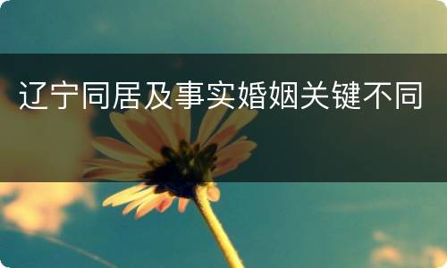 辽宁同居及事实婚姻关键不同