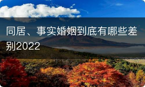 同居、事实婚姻到底有哪些差别2022