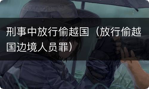 刑事中放行偷越国（放行偷越国边境人员罪）