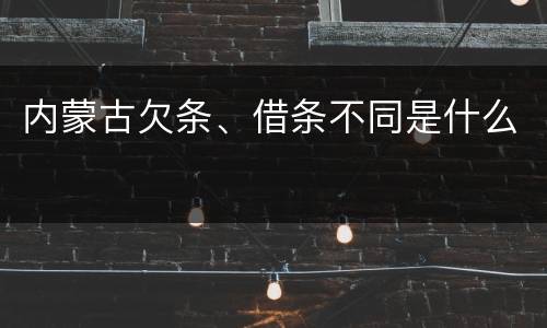内蒙古欠条、借条不同是什么