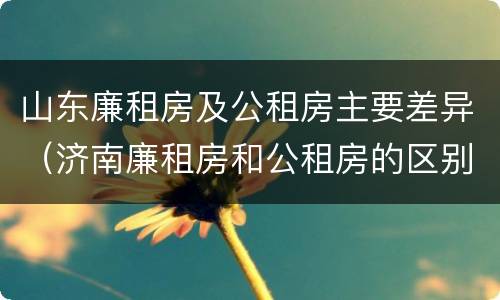 山东廉租房及公租房主要差异（济南廉租房和公租房的区别）