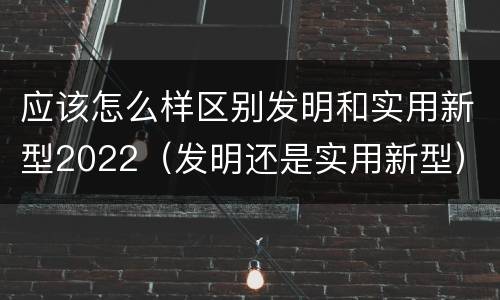 应该怎么样区别发明和实用新型2022（发明还是实用新型）
