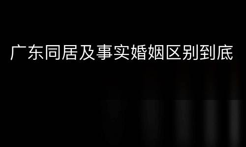 广东同居及事实婚姻区别到底