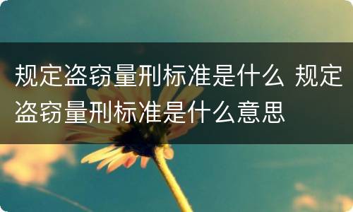 规定盗窃量刑标准是什么 规定盗窃量刑标准是什么意思