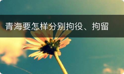 青海要怎样分别拘役、拘留