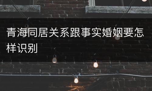 青海同居关系跟事实婚姻要怎样识别