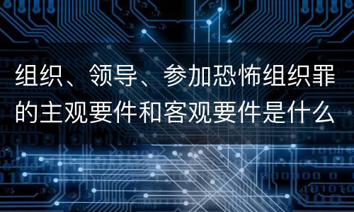 组织、领导、参加恐怖组织罪的主观要件和客观要件是什么