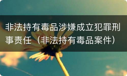 非法持有毒品涉嫌成立犯罪刑事责任（非法持有毒品案件）