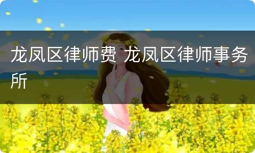 龙凤区律师费 龙凤区律师事务所