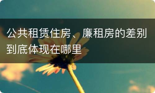 公共租赁住房、廉租房的差别到底体现在哪里