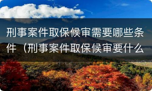 刑事案件取保候审需要哪些条件（刑事案件取保候审要什么条件）