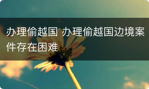 办理偷越国 办理偷越国边境案件存在困难