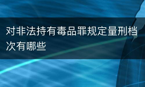对非法持有毒品罪规定量刑档次有哪些