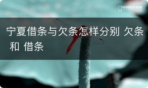 宁夏借条与欠条怎样分别 欠条 和 借条