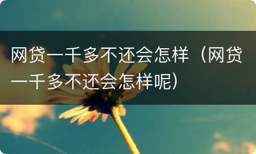 网贷一千多不还会怎样（网贷一千多不还会怎样呢）