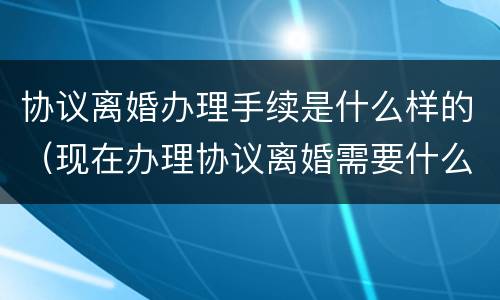 协议离婚办理手续是什么样的（现在办理协议离婚需要什么手续）