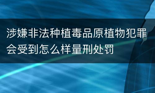 涉嫌非法种植毒品原植物犯罪会受到怎么样量刑处罚