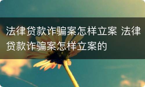 法律贷款诈骗案怎样立案 法律贷款诈骗案怎样立案的