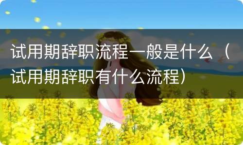 试用期辞职流程一般是什么（试用期辞职有什么流程）