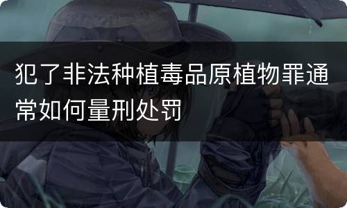 犯了非法种植毒品原植物罪通常如何量刑处罚