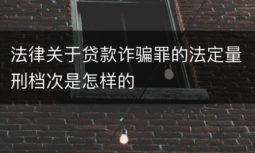 法律关于贷款诈骗罪的法定量刑档次是怎样的
