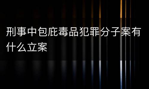 刑事中包庇毒品犯罪分子案有什么立案
