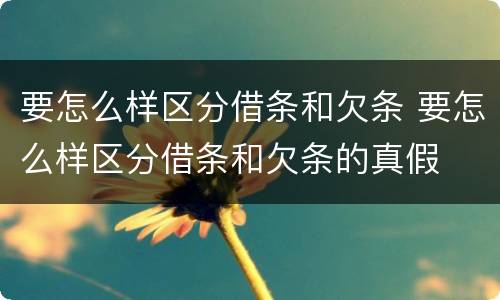 要怎么样区分借条和欠条 要怎么样区分借条和欠条的真假