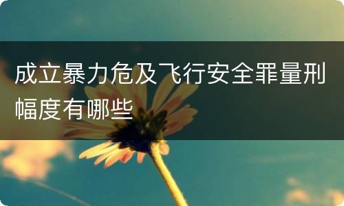 成立暴力危及飞行安全罪量刑幅度有哪些