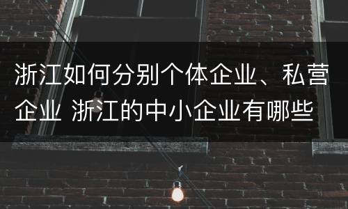 浙江如何分别个体企业、私营企业 浙江的中小企业有哪些