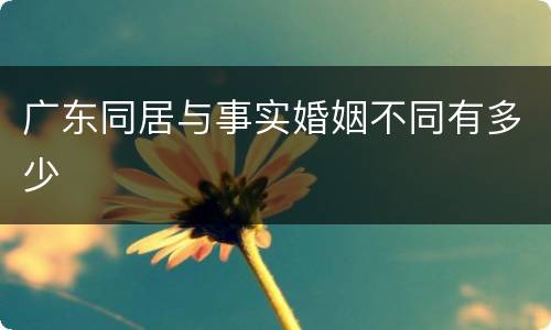 广东同居与事实婚姻不同有多少