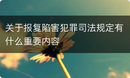 关于报复陷害犯罪司法规定有什么重要内容