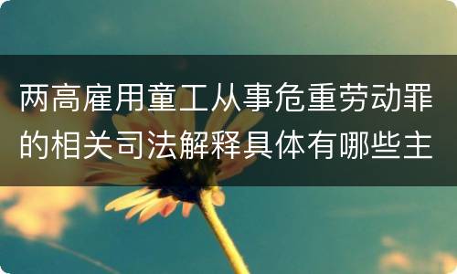 两高雇用童工从事危重劳动罪的相关司法解释具体有哪些主要规定