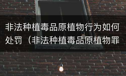 非法种植毒品原植物行为如何处罚（非法种植毒品原植物罪量刑标准）