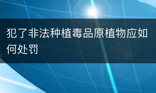 犯了非法种植毒品原植物应如何处罚