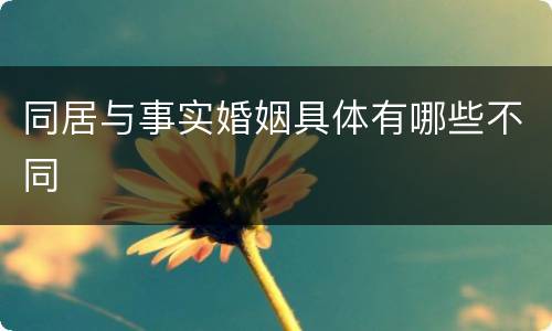 同居与事实婚姻具体有哪些不同