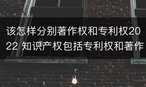 该怎样分别著作权和专利权2022 知识产权包括专利权和著作权吗