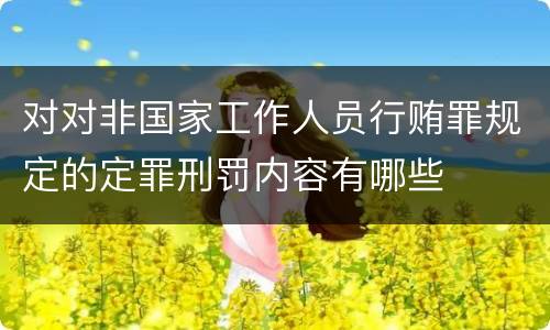 对对非国家工作人员行贿罪规定的定罪刑罚内容有哪些