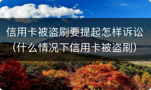 信用卡被盗刷要提起怎样诉讼（什么情况下信用卡被盗刷）