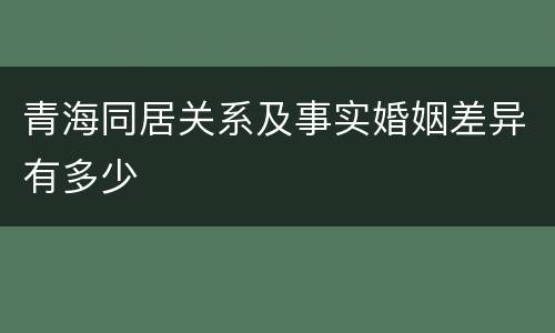 青海同居关系及事实婚姻差异有多少