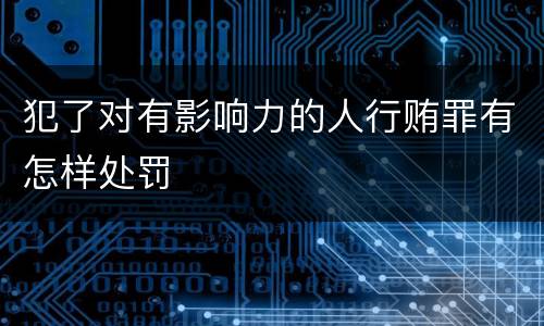 犯了对有影响力的人行贿罪有怎样处罚