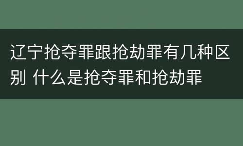 辽宁抢夺罪跟抢劫罪有几种区别 什么是抢夺罪和抢劫罪