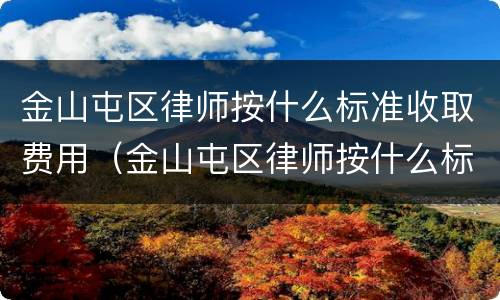 金山屯区律师按什么标准收取费用（金山屯区律师按什么标准收取费用的）